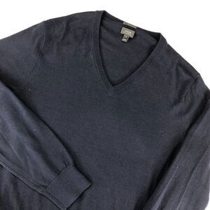 J Crew Sweater Mens Medium Slim Fit V Neck Blue Thin Merino Wool Long Sleeve